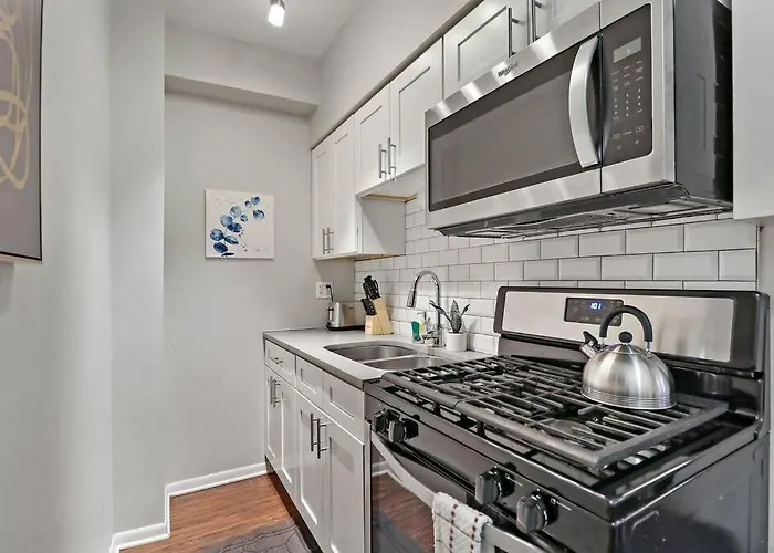 1br Modern & Chic In Downtown - Dorchester 204 Appartamento Chicago